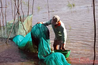 Con nước thấp trong mùa lũ ở An Giang (Ảnh minh họa).