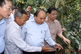 Thủ tướng Nguyễn Xuân Phúc thăm mô hình chuyển đổi sản xuất cây nông nghiệp chuyên trồng sầu riêng tại gia đình ông Mai Văn Âu, xã Hiệp Đức, huyện Cai Lậy, tỉnh Tiền Giang. Ảnh: THỐNG NHẤT (TTXVN)