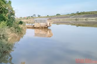 Do sạt lở, sông Cầu ngày càng tiến sát nhiều nhà dân xã Tân Phú. 