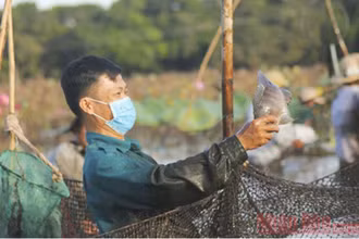 Vui mừng khi bắt được cá trong lễ hội.