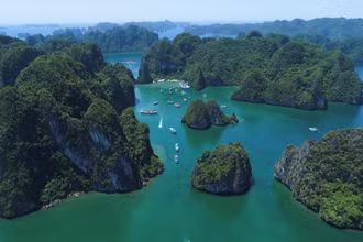 Quảng Ninh sẽ phát triển rừng đặc dụng thành rừng quốc gia Vịnh Hạ Long 