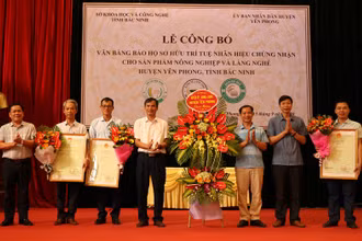 Cấp chứng nhận bánh tẻ, bánh đa nem, nếp cái hoa vàng Yên Phong, Bắc Ninh