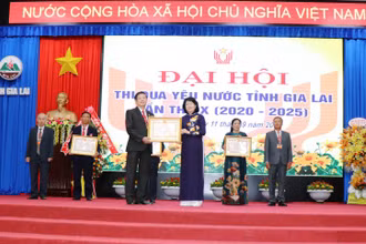 Phó Chủ tịch nước Đặng Thị Ngọc Thịnh, trao bằng khen cho các tập thể, cá nhân đạt thành tích xuất sắc trong phong trào thi đua yêu nước tỉnh Gia Lai.