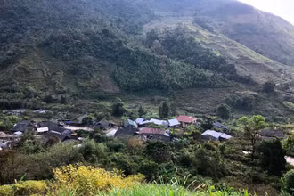Xanh ngát màu Pu Ta Leng