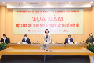 Phó Trưởng đoàn chuyên trách Đoàn đại biểu Quốc hội thành phố Phạm Thị Thanh Mai phát biểu tại buổi tọa đàm.