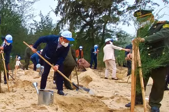Bí thư Tỉnh ủy Quảng Bình Vũ Đại Thắng tham gia trồng cây đầu xuân.