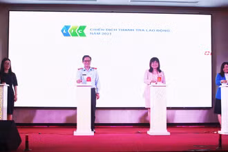 Phát động Chiến dịch thanh tra lao động năm 2021 (Ảnh: Molisa).