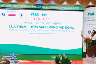 Quang cảnh buổi hội thảo
