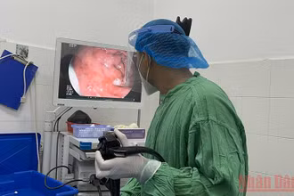 Bác sĩ Bệnh viện Đa khoa Trung ương Cần Thơ nội soi dạ dày bệnh nhân N.K.P.