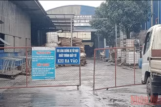Công ty TNHH một thành viên Thương mại xuất nhập khẩu Gia Phát xây dựng nhà xưởng diện tích rộng gần 1000 m2 trùm lên mặt đường.
