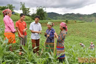 Hướng dẫn người dân bản Tà Han, xã Xuân Lạc, huyện Chợ Đồn, Bắc Kạn, trồng ngô năng suất cao. (Ảnh minh họa: Trần Hải)