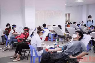 Năm 2021 đã có 31.956 người đăng ký tham gia hiến máu tình nguyện tại Đà Nẵng.