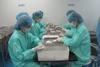 VABIOTECH đã thí nghiệm thành công trên chuột từ tháng 6-2020.