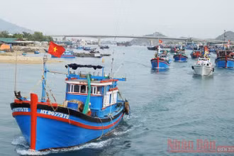 Tàu thuyền ở Ninh Thuận được thông báo và hướng dẫn di chuyển đến nơi tránh trú an toàn, tránh bão số 9. Ảnh: NGUYỄN TRUNG.