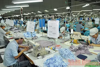 Lao động tại một xưởng may ở TP Đồng Hới, Quảng Bình (Ảnh minh họa).
