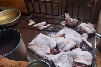 Thịt lợn tại cơ sở ông Vũ để trên nền xi-măng dơ bẩn.