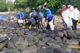 WWF giúp cải thiện môi trường tại danh thắng Hòn Yến