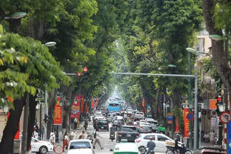 Hàng cây trên phố Tràng Thi, Hà Nội. (Ảnh: HÀ NAM)