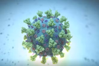Hình ảnh mô phỏng Betacoronavirus. (Ảnh: Reuters)