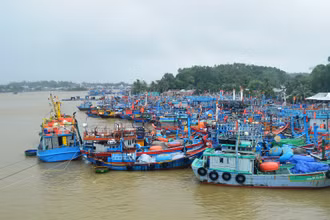 Tàu cá của ngư dân Bình Sơn (Quảng Ngãi) vào bờ tránh bão số 6.