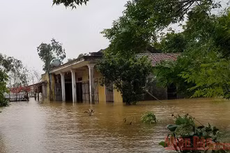 Người dân Quảng Bình vừa mới dọn nhà, chưa kịp khô lại ngập trong nước lũ.