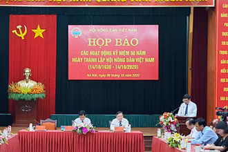 Toàn cảnh buổi họp báo.
