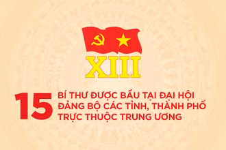 [Infographic] 15 bí thư được bầu tại Đại hội Đảng bộ các tỉnh, thành phố trực thuộc Trung ương