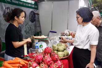 Người tiêu dùng tham quan, mua sắm tại Tuần hàng trái cây, nông sản các tỉnh, thành phố tại TTTM Mipec Long Biên.
