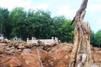 Di tích lịch sử - văn hóa cấp tỉnh Lăng mộ cụ Lâm Hoằng bị kẻ gian đào bới tan hoang.