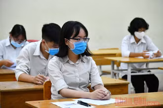 Ảnh minh họa: Thủy Nguyên.