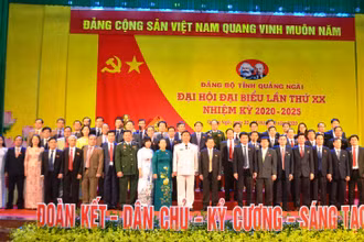 Ban Chấp hành Đảng bộ tỉnh Quảng Ngãi khóa 20.