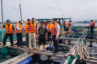 Ông Phạm Đại Dương, Bí thư Tỉnh ủy, Chủ tịch UBND tỉnh Phú Yên trực tiếp kiểm tra công tác phòng, chống bão lũ tại các khu vực xung yếu.