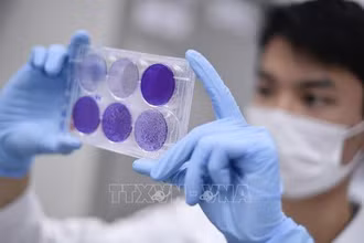 Nghiên cứu vaccine phòng Covid-19 tại Belo Horizonte, bang Minas Gerais, Brazil, ngày 26-3-2020. (Ảnh: AFP/TTXVN)