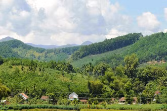 Vùng miền núi tỉnh Quảng Ngãi thường hay xảy ra động đất.