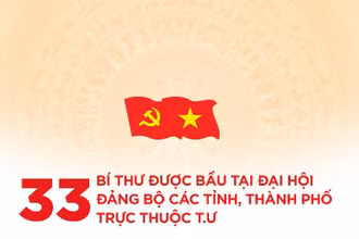 [Infographic] 33 Bí thư được bầu tại Đại hội Đảng bộ các tỉnh, thành phố trực thuộc T.Ư