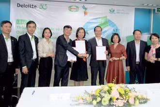 Ra mắt Quỹ Cánh diều xanh tại Văn phòng Deloitte Hà Nội.
