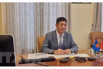 Đại sứ - Trưởng Phái đoàn đại diện thường trực Việt Nam tại ASEAN Nguyễn Hải Bằng. (Ảnh: Phái đoàn Việt Nam tại ASEAN)