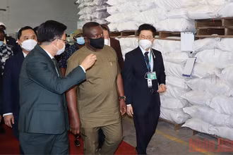 Đoàn Tổng thống nước Cộng hòa Sierra Leone tham quan nhà máy gạo Angimex tại thành phố Long Xuyên.
