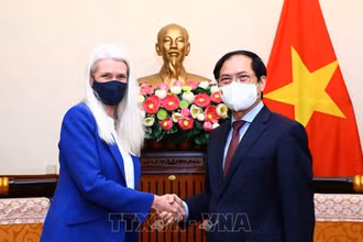 Bộ trưởng Ngoại giao Bùi Thanh Sơn tiếp xã giao Quốc Vụ khanh phụ trách châu Á-Thái Bình Dương Amanda Milling. Ảnh: TTXVN
