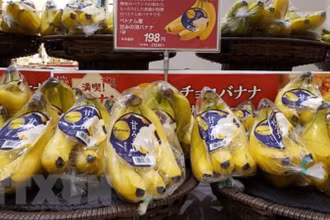 Chuối Việt Nam được bày bán tại siêu thị AEON Lake Town ở tỉnh Saitama, Nhật Bản. (Ảnh: TTXVN)