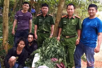 Công an huyện Sông Hinh bắt giữ các đối tượng cùng tang vật.