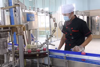 Sản xuất nước đóng chai tại HTX Bưởi da xanh Bến Tre.
