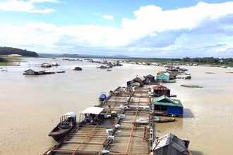 Khu vực nuôi cá bè trên sông La Ngà, tỉnh Đồng Nai.