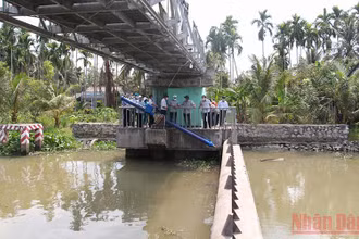 Cống ngăn mặn ở xã Tân Tiến, thành phố Vị Thanh.