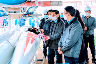 Lãnh đạo thành phố Hải Phòng kiểm tra, đôn đốc các hạng mục công trình phục vụ các môn thi đấu SEA Games 31 tại Trung tâm huấn luyện đua thuyền Hải Phòng.
