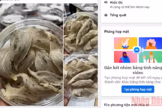 Yến sào là một trong những thực phẩm được nhiều người tìm mua.