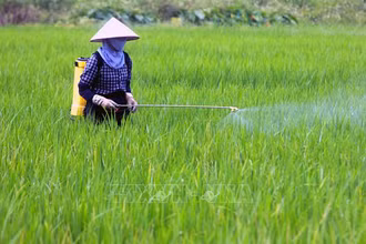 Ảnh minh họa: Phun thuốc bảo vệ thực vật cho lúa. (Nguồn: TTXVN)
