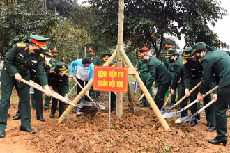Các đại biểu tham gia trồng cây.