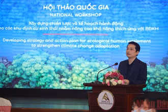 Ông Phan Tuấn Hùng Vụ trưởng Pháp chế Bộ Tài nguyên và Môi trường, Phó Giám đốc ban Quản lý dự án phát biểu khai mạc.