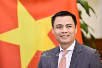 Đại sứ Đặng Hoàng Giang, Trưởng Phái đoàn Thường trực Việt Nam tại Liên hợp quốc. (Ảnh: TTXVN)